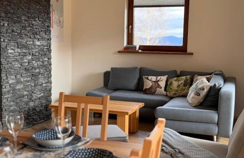 Apartamenty na Soszowie, Wisła - widokowe miejsce z Balią & Prywatną Sauną, obok stoku narciarskiego i Bike Parku, dla max 16 osób - Foto 24