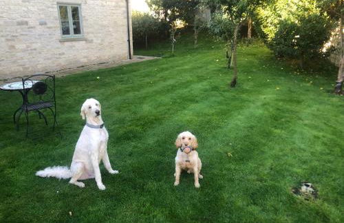 Oliver's Studio at Oliver's Yard - Foto 18