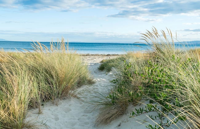 Freycinet Panorama - Foto 11