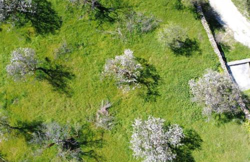 George Farmhouse - Foto 42