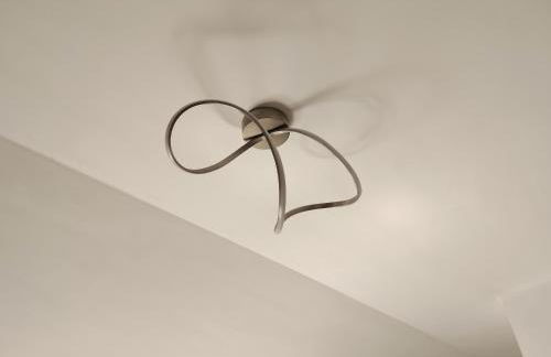 Seagulls, Elegance and Freedom - Foto 44