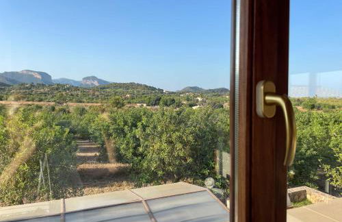 Casa Moragues - Foto 42