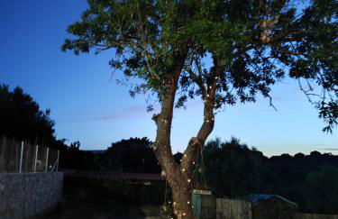 Vaki's country house - Foto 23