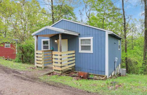 The Blue Spruce - Foto 4