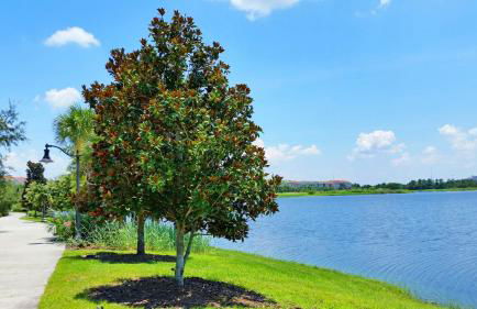 Stylish Vista Cay Townhome Near Conv. Ctr I-Dr. - Foto 102