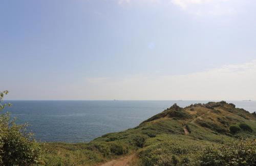 Gannet Watch - Foto 24