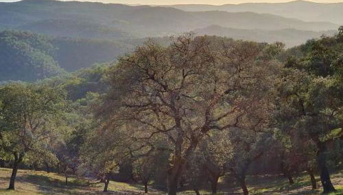 El Pico de Aroche - Foto 3