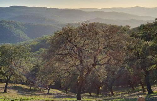 El Pico de Aroche - Foto 3
