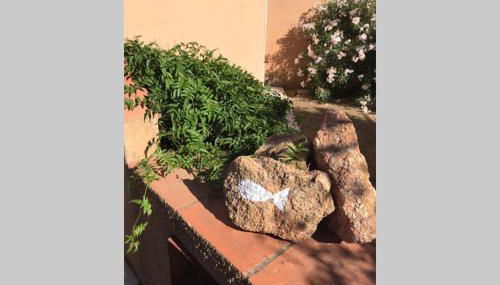 Appartamento IL CANNETO - Foto 2