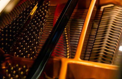 Jena The Grand Piano Suite - Foto 24