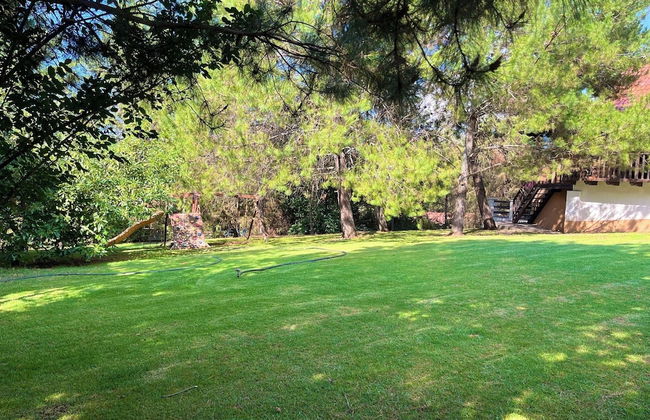 Cabaña El Roble Mazamitla - Foto 58