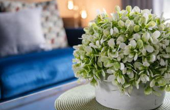 Quiet 2 bedroom gem in Stirling - Foto 5