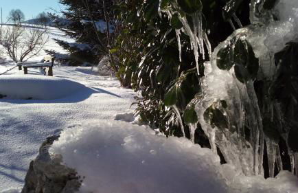 Ferienwohnung Elisabeth - Foto 11