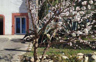 Villa Diego - Photo 5