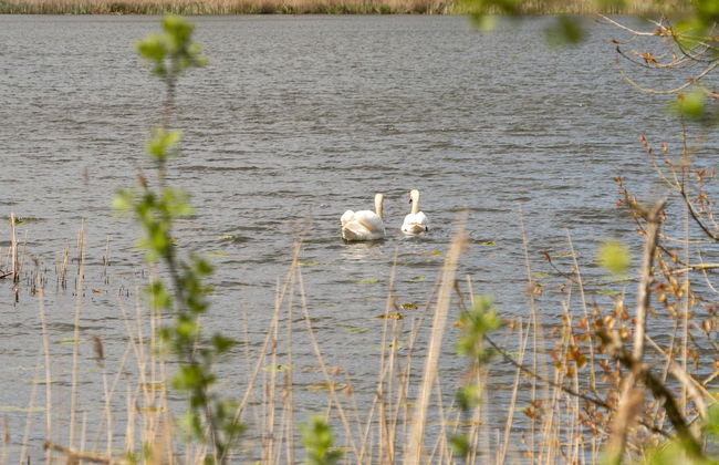 Apartment 2 bedroom with lake view - Foto 40