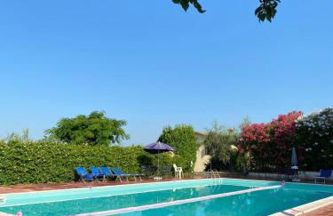 Cardinal Girolamo - Foto 24