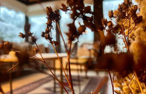 Charmantes Haus am Hennesee - Foto 6