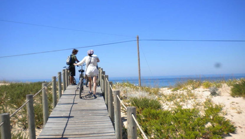 Préparez-vous à monter sur vos vélos