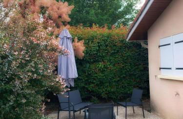 Maison paisible avec jardin - proche du lac de Sanguinet - Foto 18