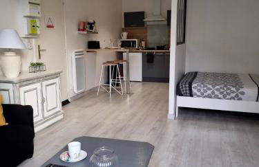 Studio en centre ville - Foto 14