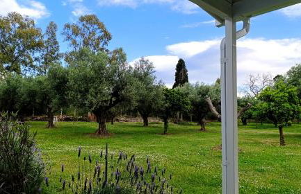 Rizaki Cottage in Nafpaktos - Foto 8