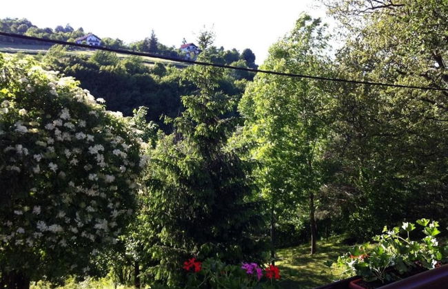 Dalija - Beautiful Nature and View - SA2 - Foto 1