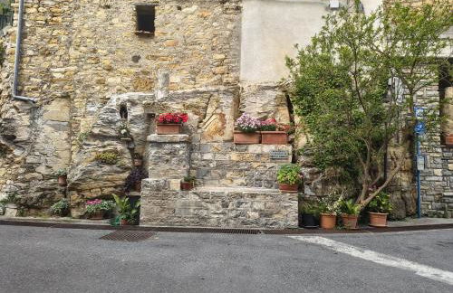 La casetta di Dora - Photo 9