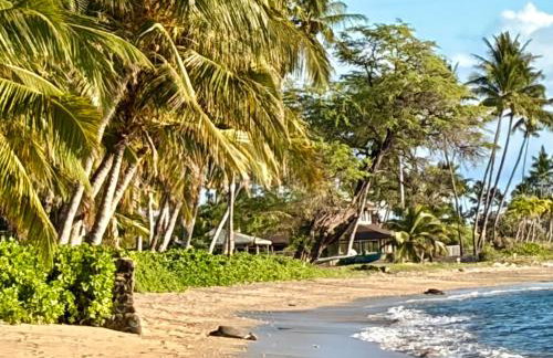 Compass Blue Lahaina - Foto 30