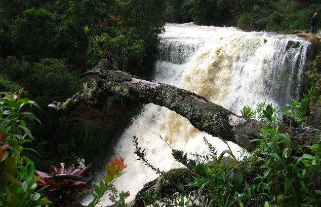 Senderismo por el Parque Ecológico La Periquera - Foto 2