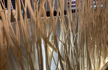 Eva suite Vip excellent studio 1 - Foto 59