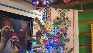 Gniazdo w Felicjanowie - Foto 2