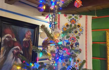 Gniazdo w Felicjanowie - Foto 2