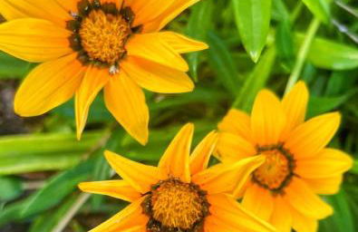 Welcome to Casa Fitz with Ocean Views and Air Conditioning - Photo 29