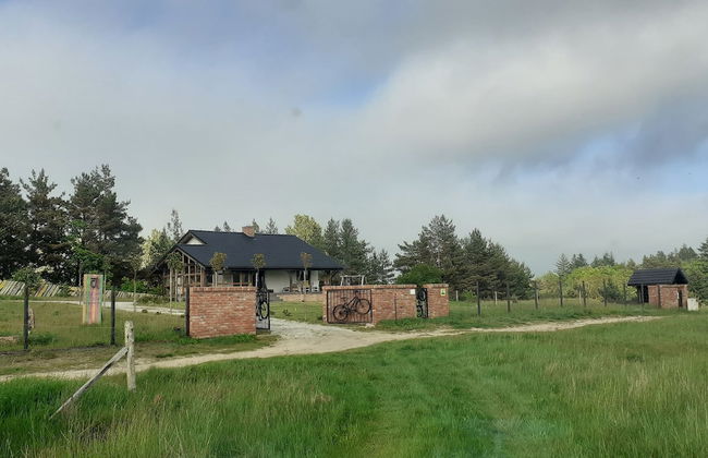 Ptasia Osada - Photo 48