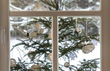 Lipowy Zakątek to miejsce bez gospodarzy i na wyłączność - Foto 24