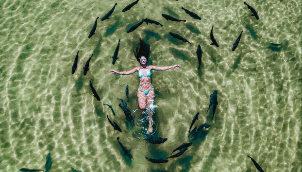 Floating with the fish