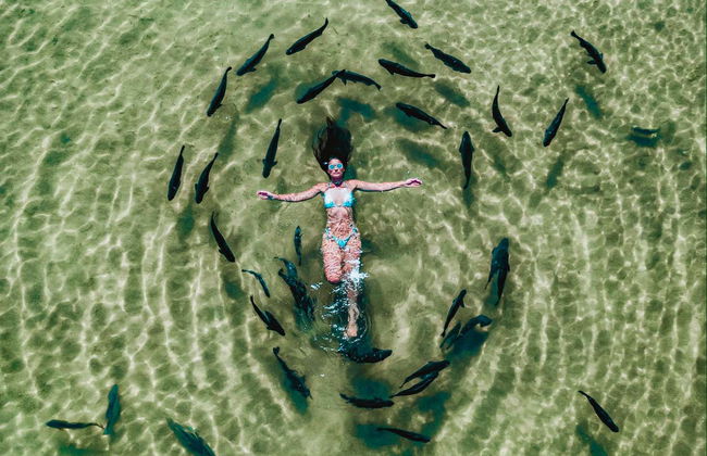 Ingresso do balneário Praia da Figueira - Foto 2