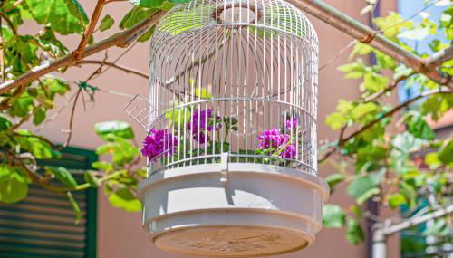 Un'oasi al Mare - Foto 4