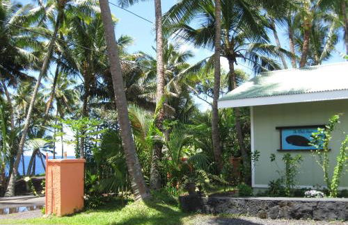Whale House at Kehena Beach - Foto 25