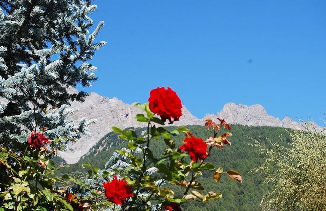 Chalet Gardenia - Foto 57