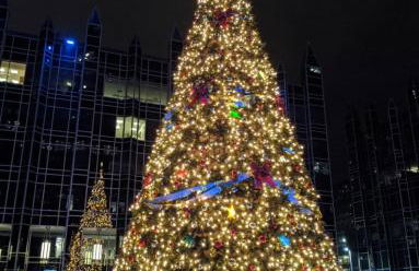 Pet Friendly 3 Bdrm House with Private Yard - Foto 34