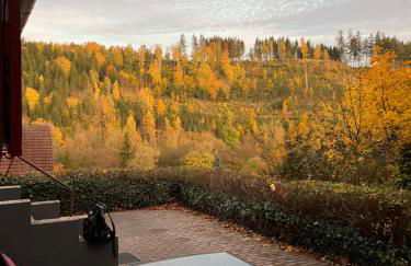 Ferienhaus Talblick, im Luftkurort Finsterbergen - Photo 32