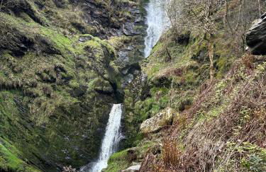 Mini haven - Foto 36