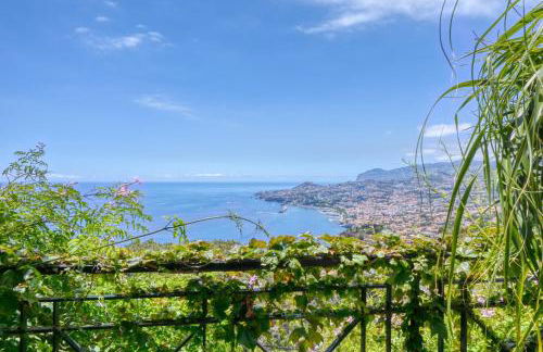 Casa das Bromélias, a Home in Madeira - Foto 54