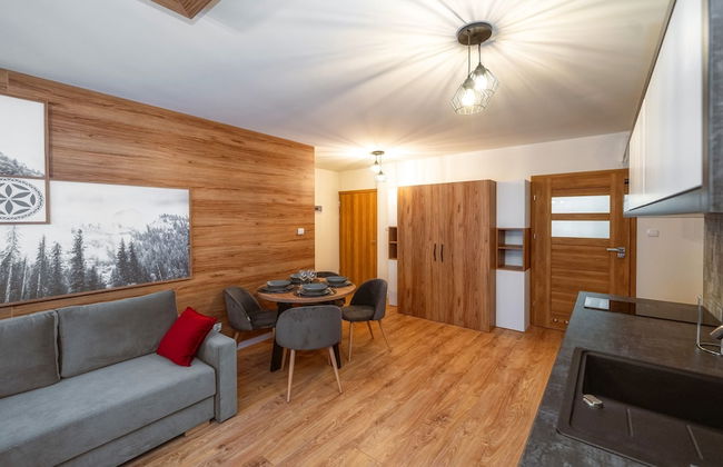 Sun & Snow Resorts C Białka Tatrzańska - Foto 49