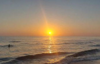 AmaNacer Oliva - Photo 22