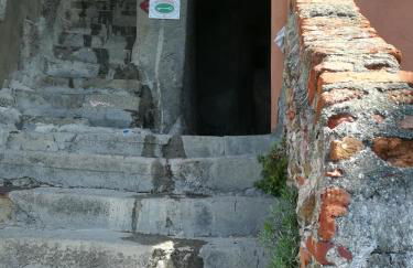 Pepita di Rio - Foto 33