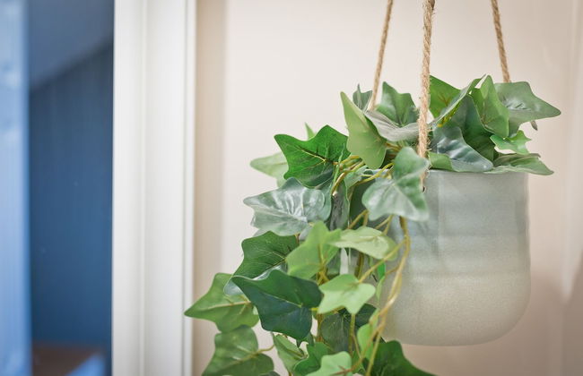 Malleus House - Photo 19