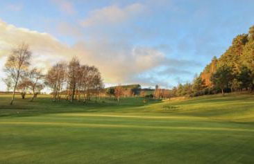 No16 The Green - Foto 5