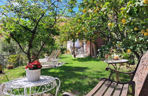 Florinda Lemon's Suite - Foto 12